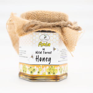 Amla in Forest Honey (500 grams)